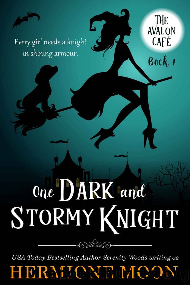 One Dark and Stormy Knight by Hermione Moon