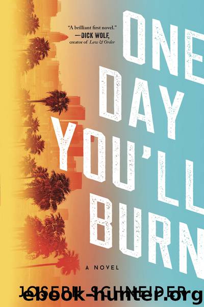 One Day You'll Burn by Joseph Schneider