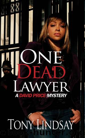 One Dead Lawyer by Tony Lindsay