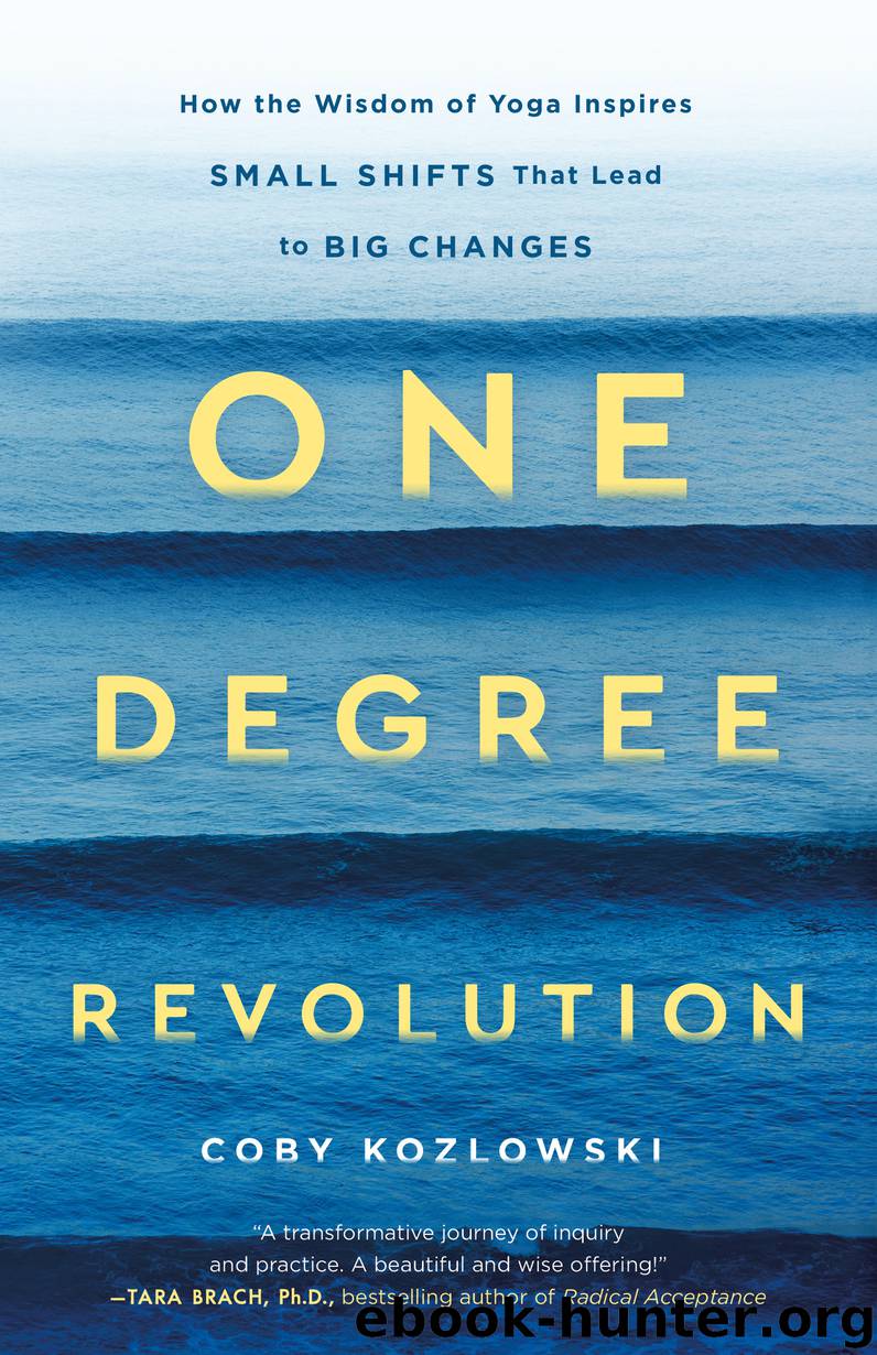 One Degree Revolution by Coby Kozlowski