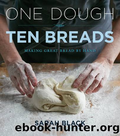 One Dough, Ten Breads : Making Great Bread by Hand (9780544579330) by Black Sarah; Scherber Amy (FRW)