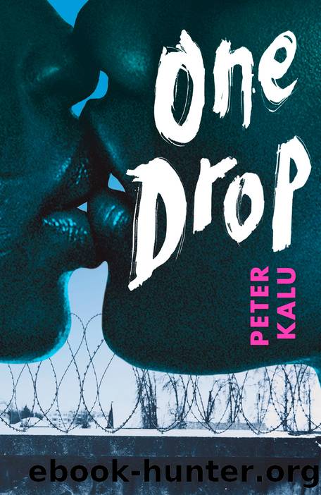 One Drop by Peter Kalu
