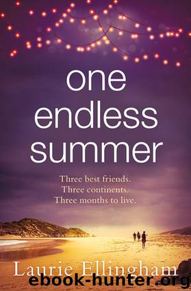 One Endless Summer by Laurie Ellingham