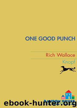One Good Punch by Rich Wallace