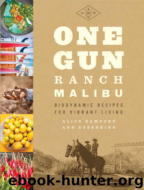 One Gun Ranch, Malibu: Biodynamic Recipes for Vibrant Living by Alice Bamford & Ann Eysenring