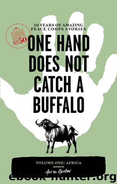 One Hand Does Not Catch a Buffalo by Aaron Barlow