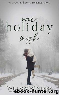 One Holiday Wish by Willow Winters