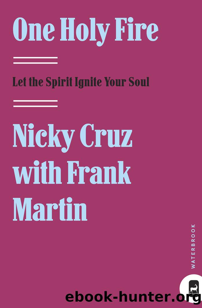 One Holy Fire by Nicky Cruz