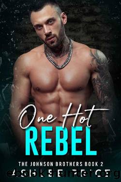 One Hot Rebel (The Johnson Brothers Book 2) by Ashlee Price