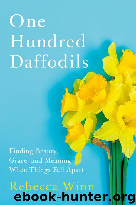 One Hundred Daffodils by Rebecca Winn