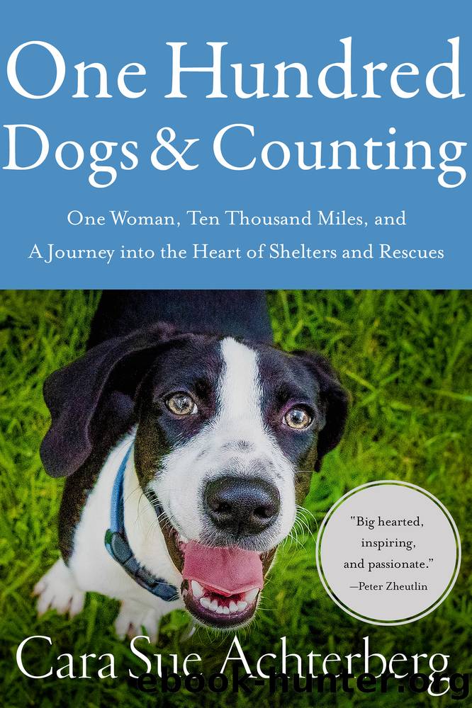 One Hundred Dogs and Counting by Cara Sue Achterberg