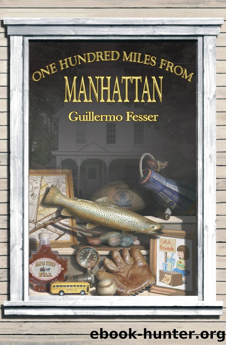 One Hundred Miles from Manhattan by Guillermo Fesser