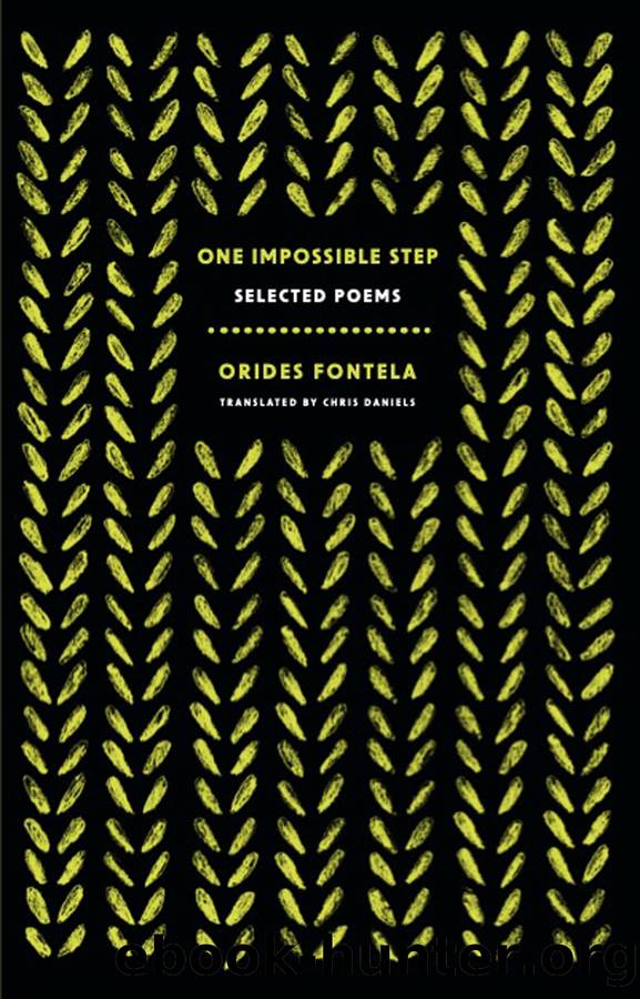 One Impossible Step by Orides Fontela