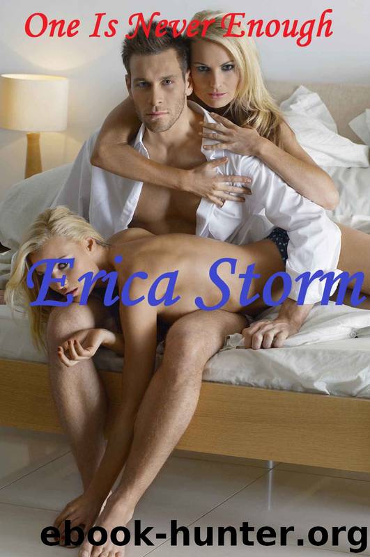 One Is Never Enough by Erica Storm