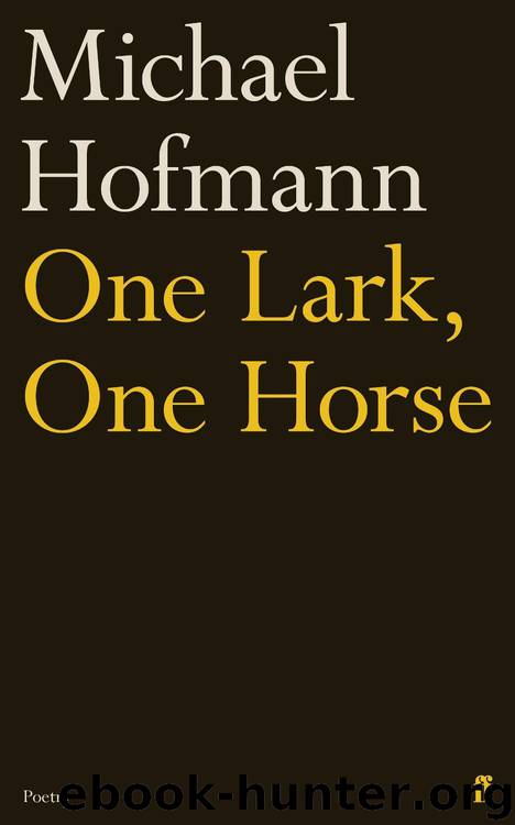 One Lark, One Horse by Michael Hofmann