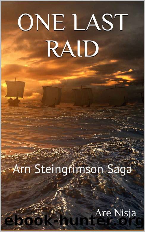 One Last Raid: Arn Steingrimson Saga by Nisja Are