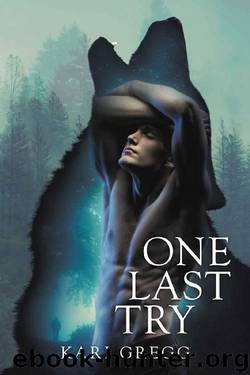 One Last Try by Kari Gregg