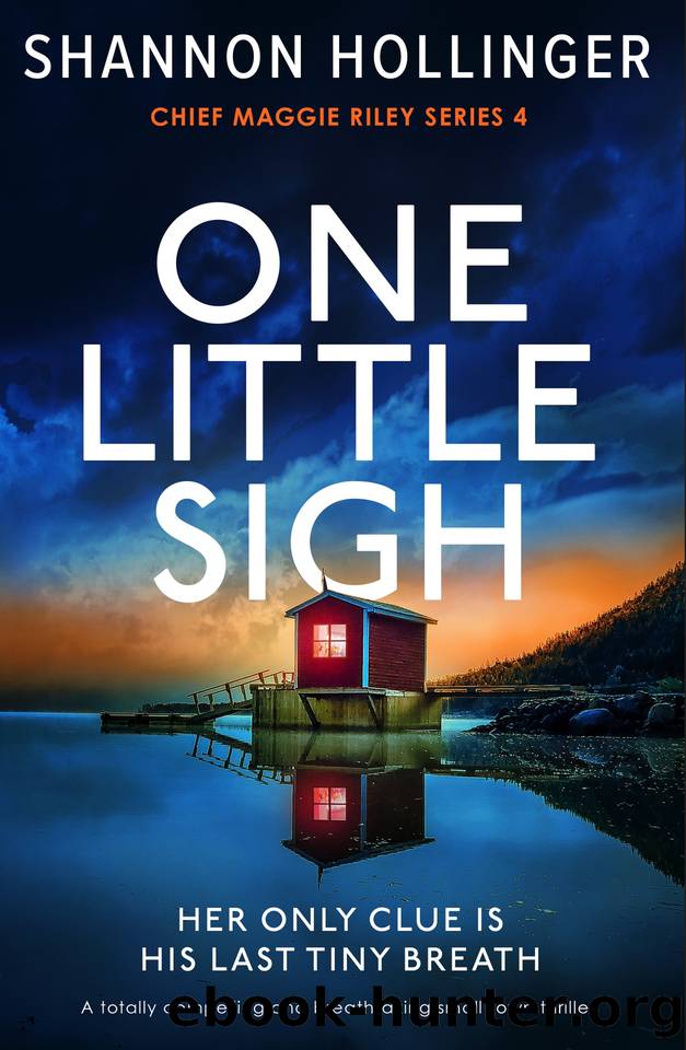 One Little Sigh: A totally compelling and breathtaking small town thriller by Shannon Hollinger