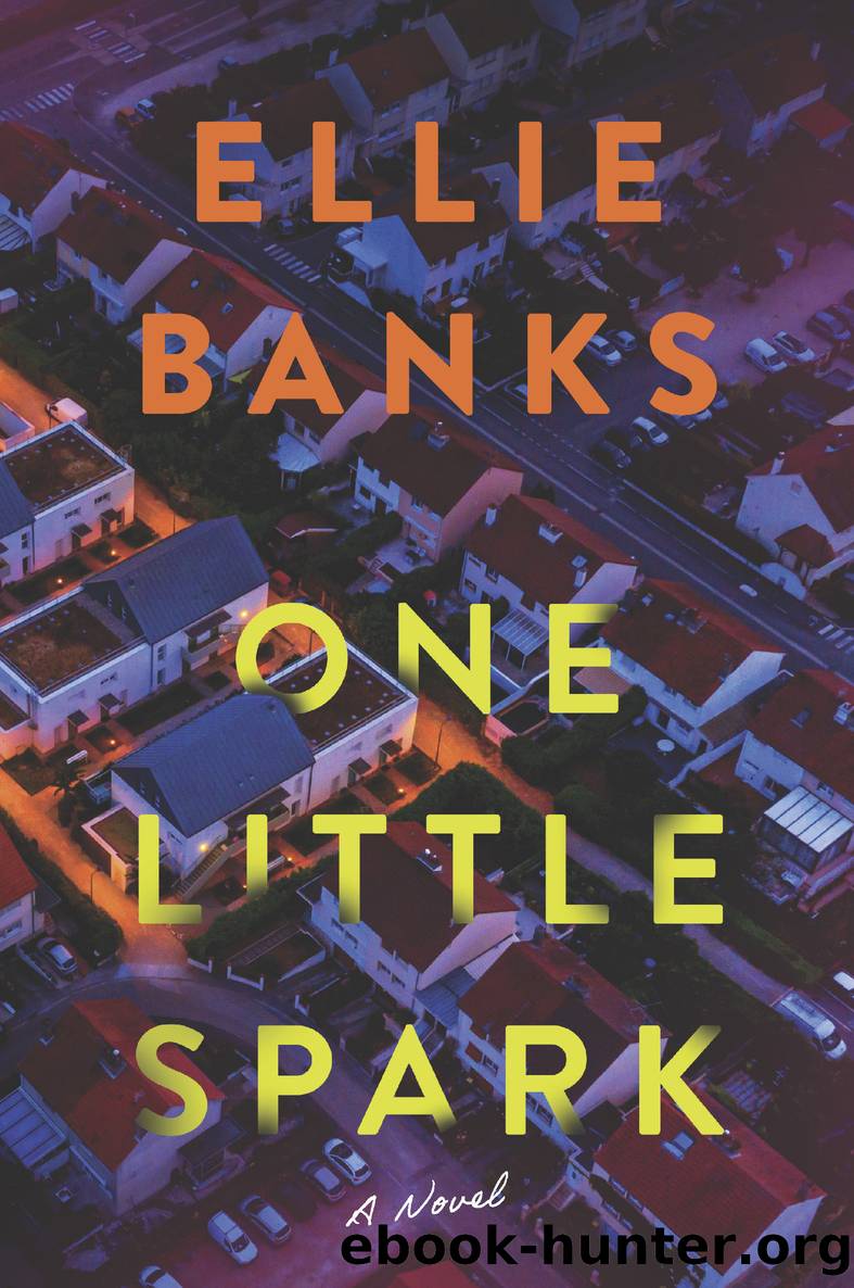 One Little Spark by Ellie Banks
