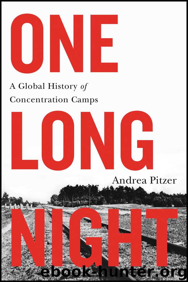 One Long Night by Andrea Pitzer