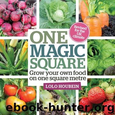 One Magic Square: Grow your own food on one square metre by Lolo Houbein