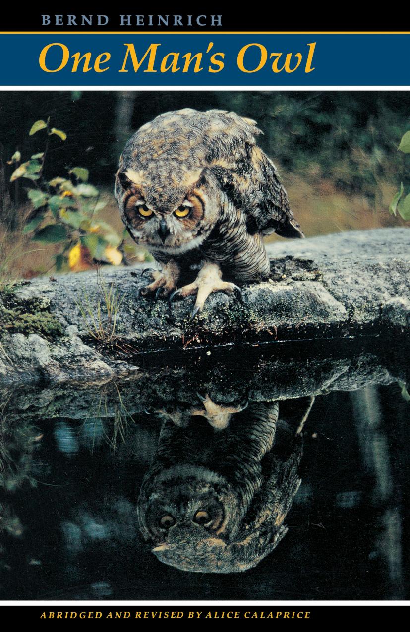 One Man's Owl by Bernd Heinrich