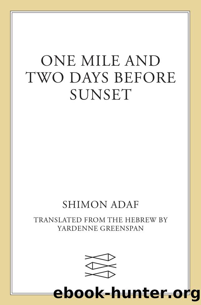 One Mile and Two Days Before Sunset--A Novel by Shimon Adaf