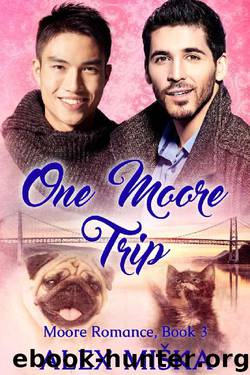 One Moore Trip (Moore Romance Book 3) by Alex Miska & V. Soffer