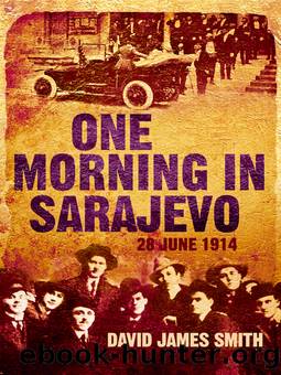 One Morning in Sarajevo by David James Smith