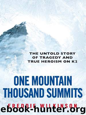One Mountain Thousand Summits by Freddie Wilkinson