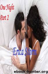 One Night 2 by Erica Storm