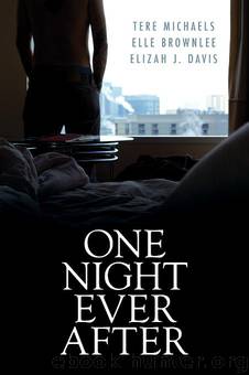One Night Ever After by Elizah J. Davis Elle Brownlee Tere Michaels