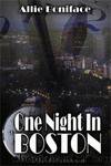 One Night in Boston by Boniface Allie