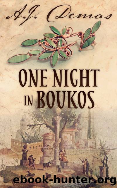 One Night in Boukos by A.J. Demas