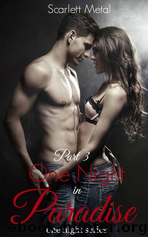 One Night in Paradise Part 3 (One Night Series) by Scarlett Metal
