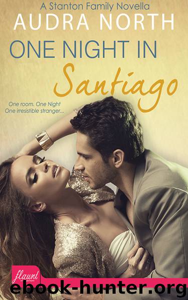 One Night in Santiago by Audra North