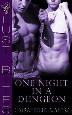 One Night in a Dungeon by Samantha Cayto