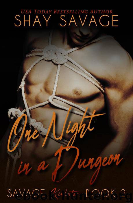 One Night in a Dungeon by Shay Savage