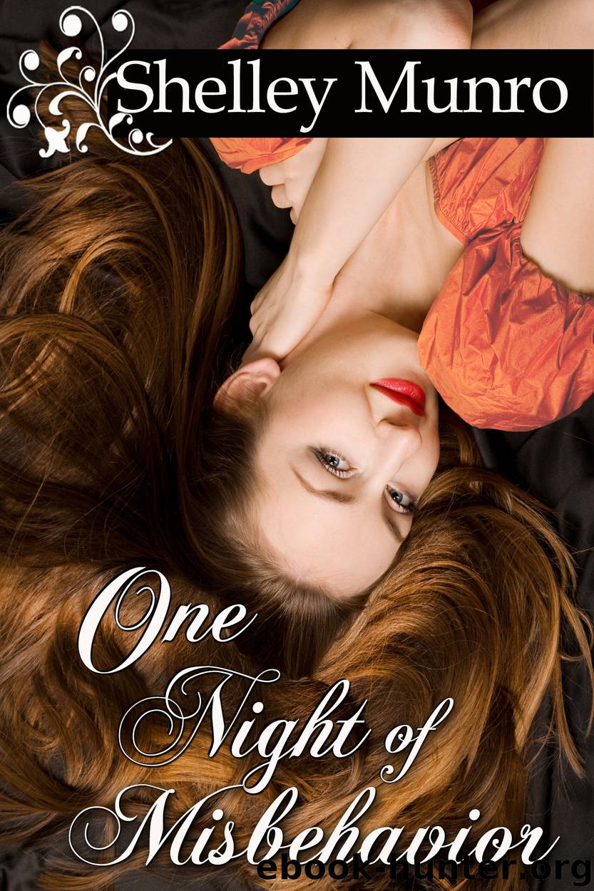 One Night of Misbehavior by Shelley Munro