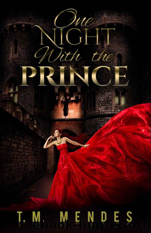 One Night with the Prince by Mendes T.M