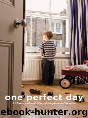 One Perfect Day A Mother and Son's Story of Adoption and Reunion by Diane Burke