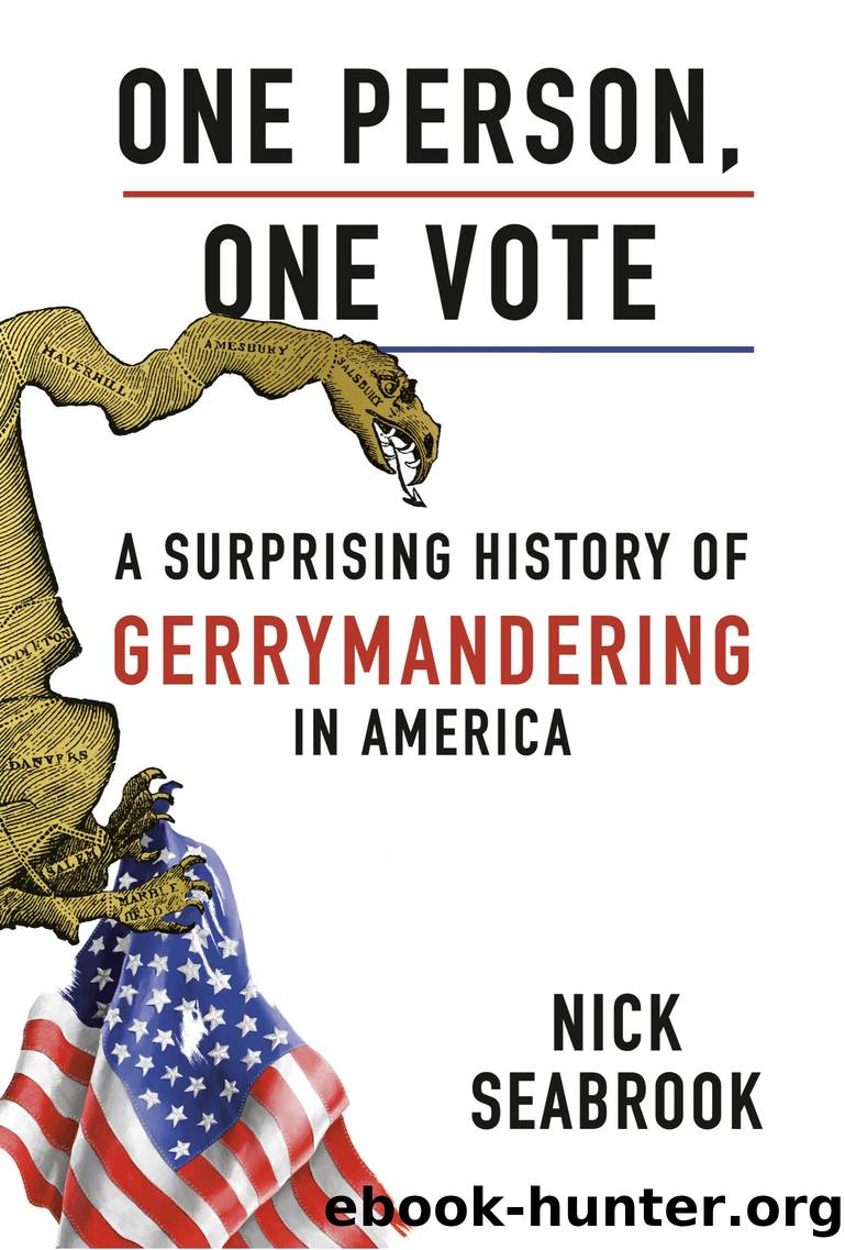 One Person, One Vote by Nick Seabrook