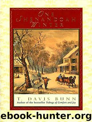 One Shenandoah Winter by Davis Bunn