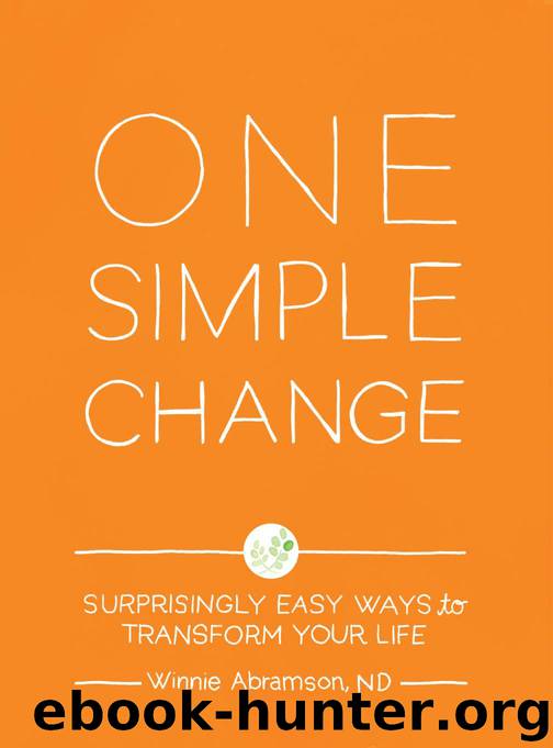 One Simple Change by Abramson Winnie