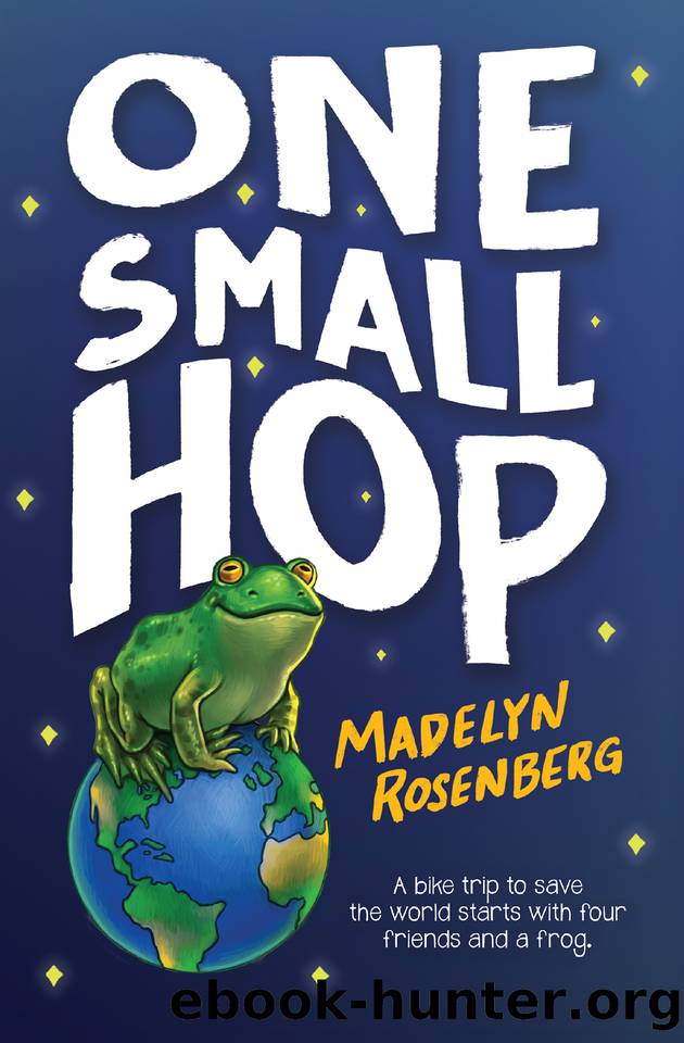 One Small Hop by Madelyn Rosenberg