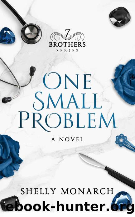 One Small Problem: The Seven Brothers Series Book 1 by Shelly Monarch