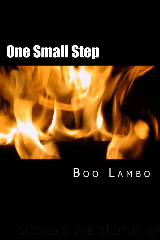 One Small Step by Mr Leonard Swafford-Donald