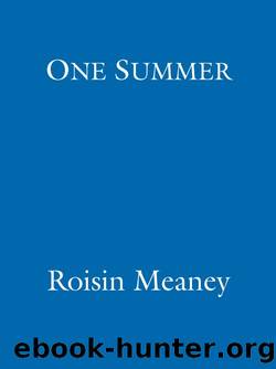 One Summer by Roisin Meaney