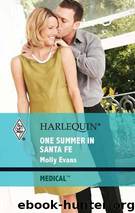 One Summer in Santa Fe by Molly Evans