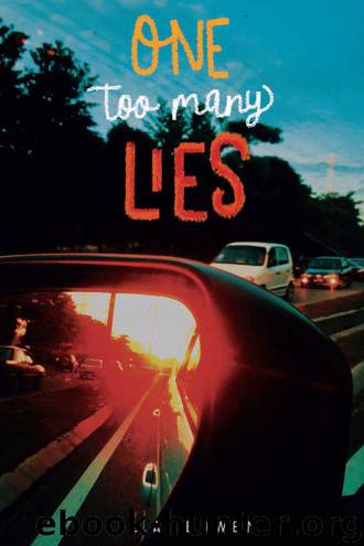 One Too Many Lies by L. A. Bowen